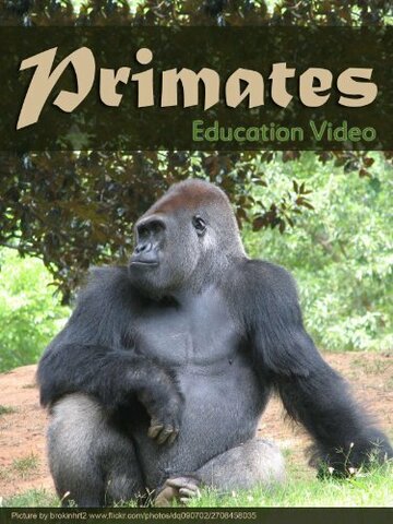 Primats (1997)