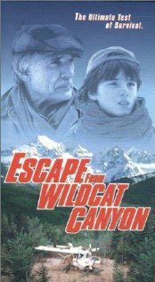 Побег из каньона дикой кошки (1998)